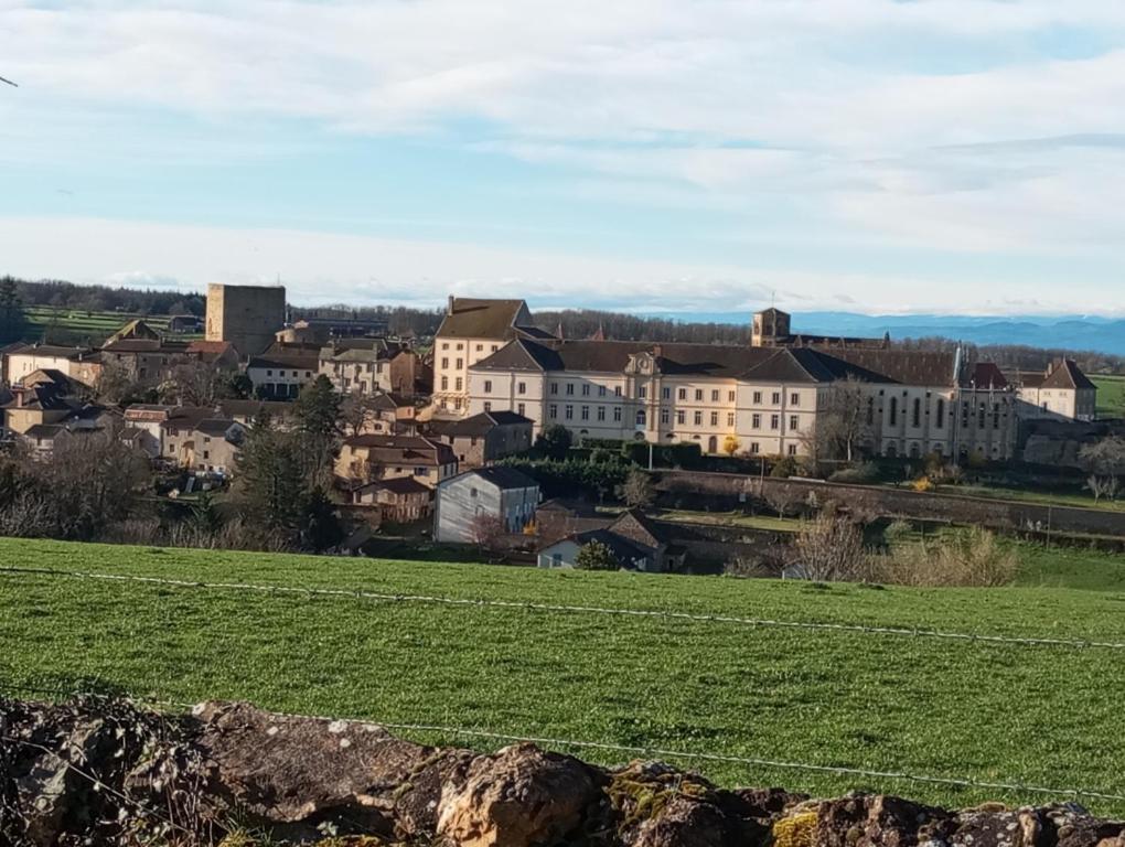 Gite De Belle Vue Semur-en-Brionnais Exterior foto